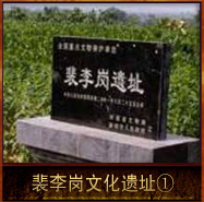 pic/plgwh/2/裴李岗文化遗址①.jpg