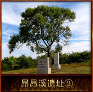 pic/rrxyz/2/昂昂溪遗址2.jpg